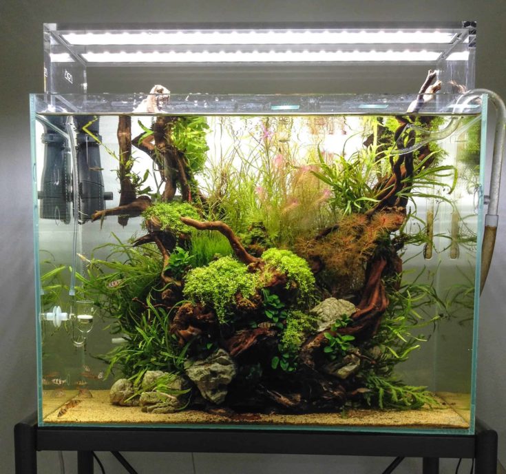 Lakebottom Aquascape with Sandy Substrate