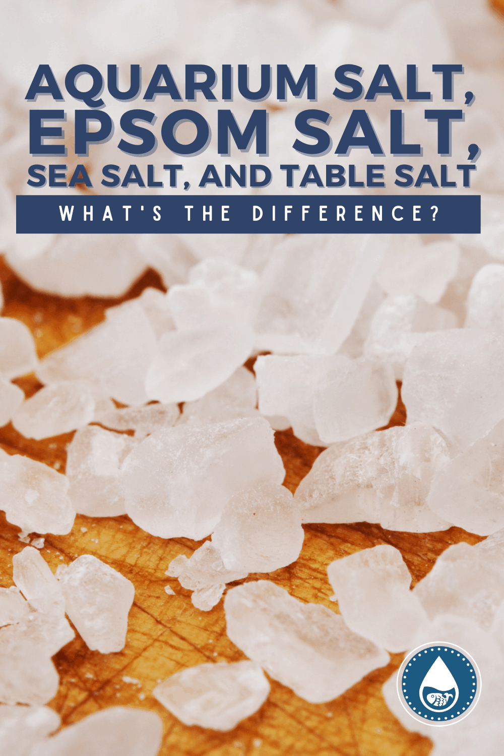 aquarium-salt-vs-epsom-salt-vs-sea-salt-vs-table-salt