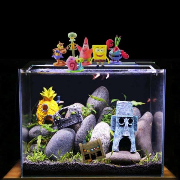 15 Fun Fish Tank Themes You'll Want Try